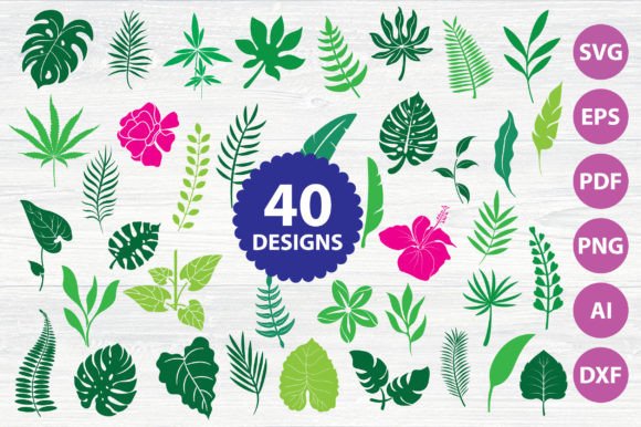 Collection of 40 tropical leaf and flower SVG designs for Cricut projects.