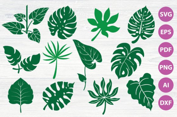 Assorted monstera and tropical leaf SVG designs for crafting.